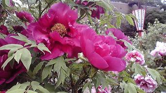 ���������R����