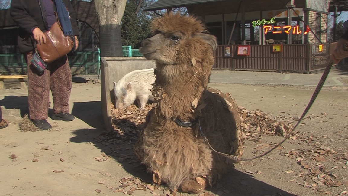 ���������R����