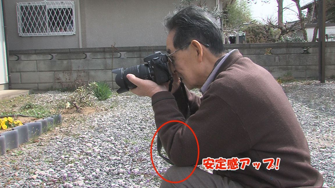 ���������R����