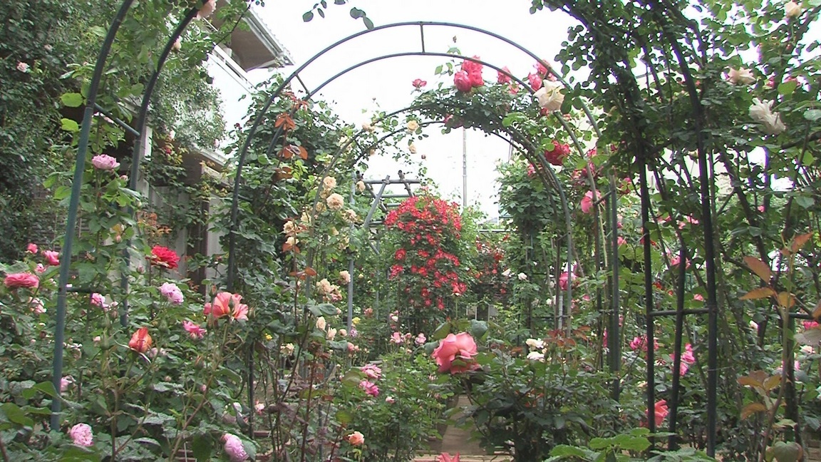 ���������R����