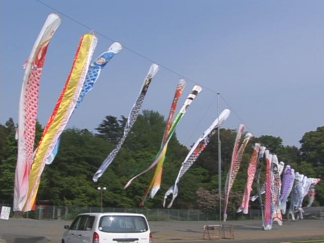 ���������R����