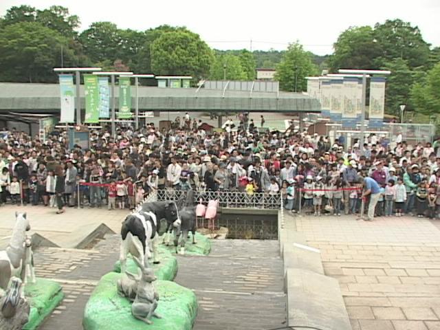 ���������R����