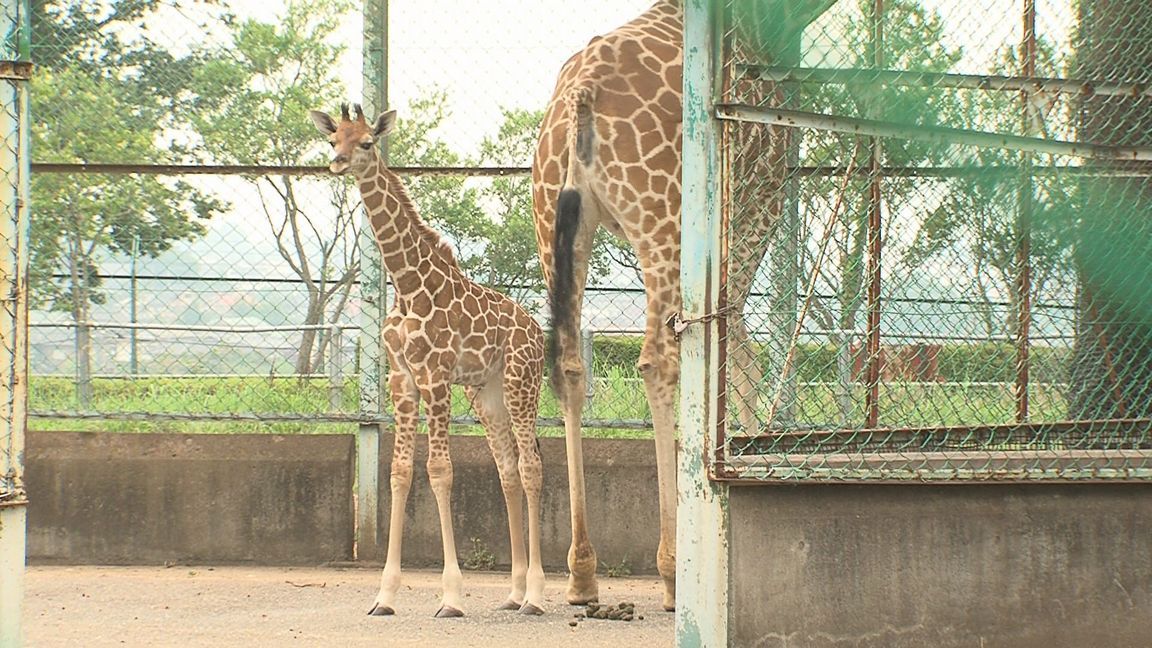 ���������R����