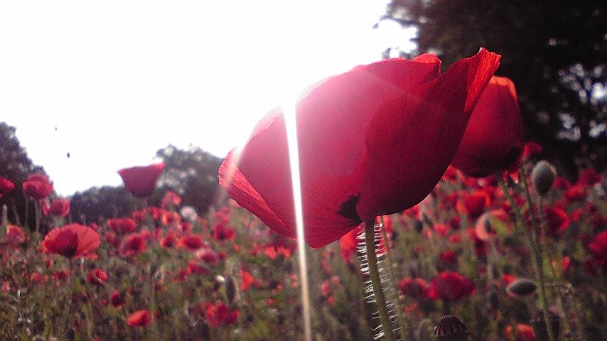 ���������R����