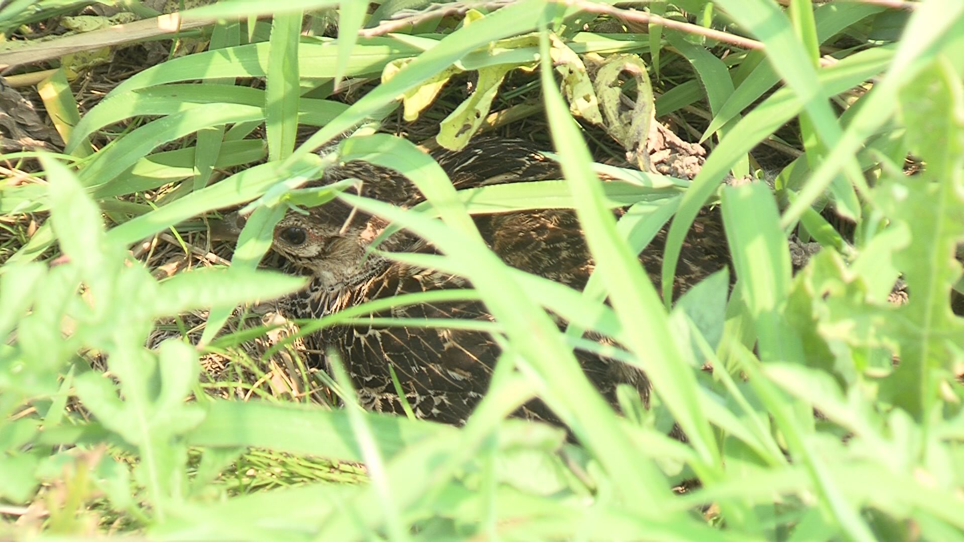 ���������R����