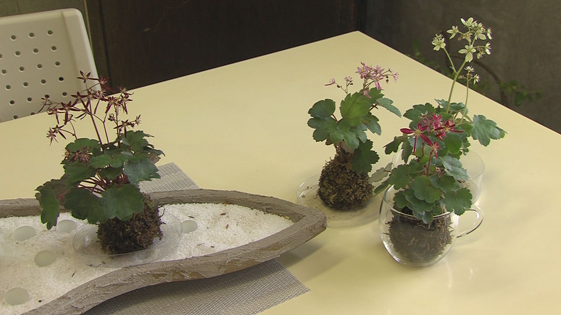 ���������R����