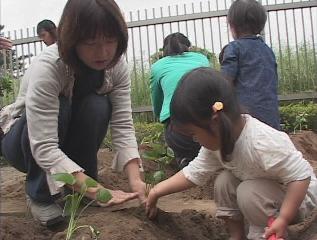 ���������R����