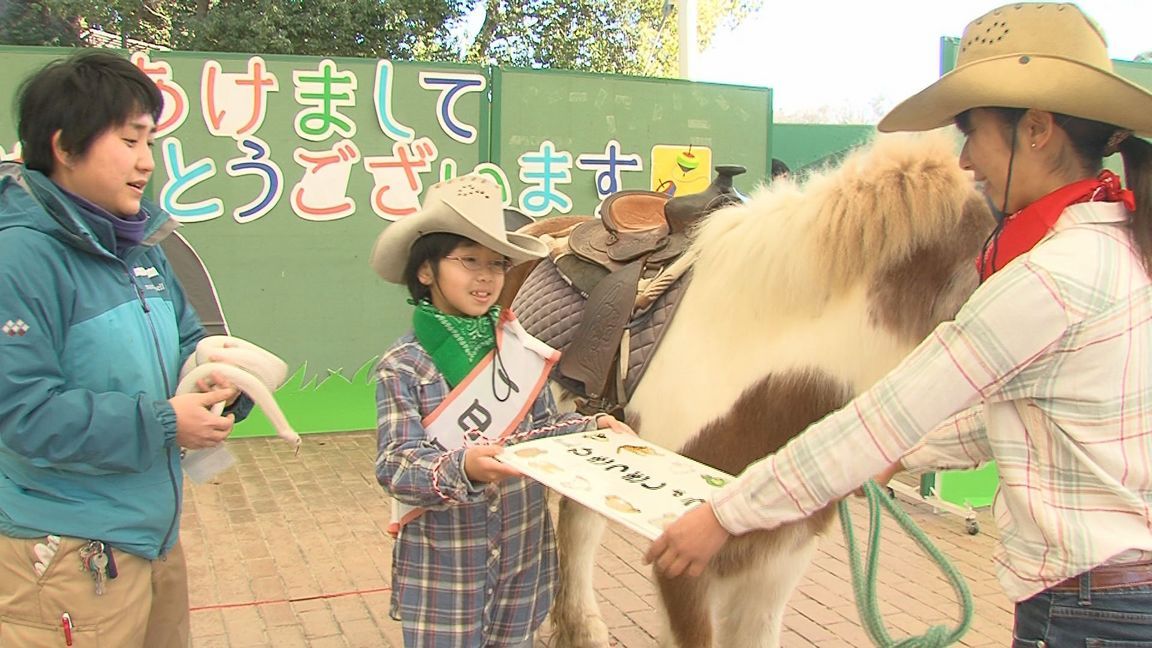 ���������R����