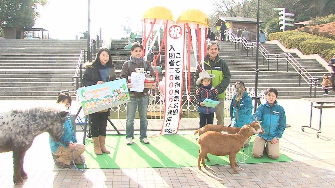 ���������R����