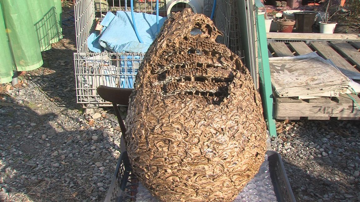 ���������R����