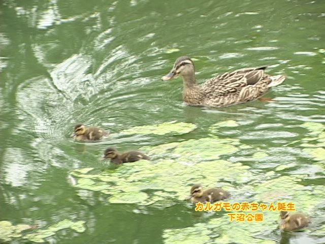 ���������R����