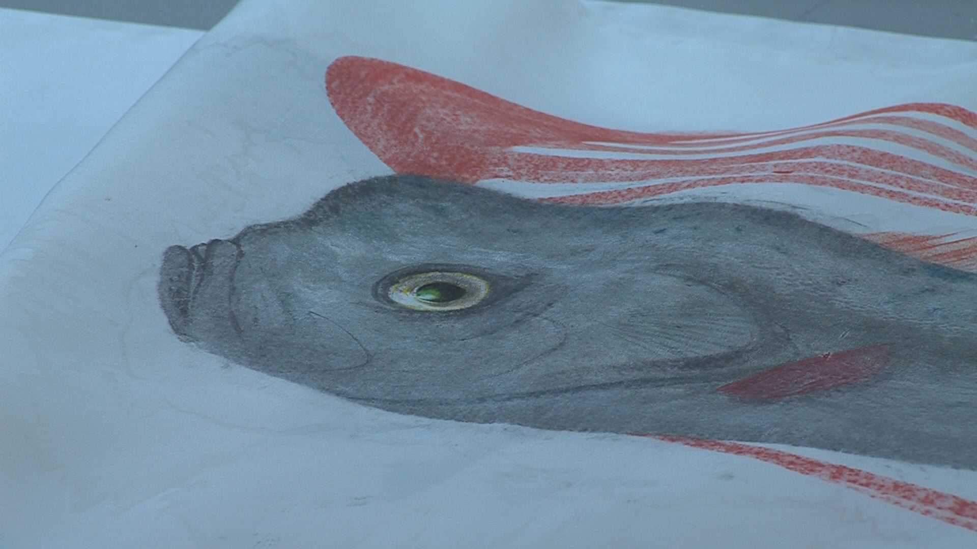 ���������R����