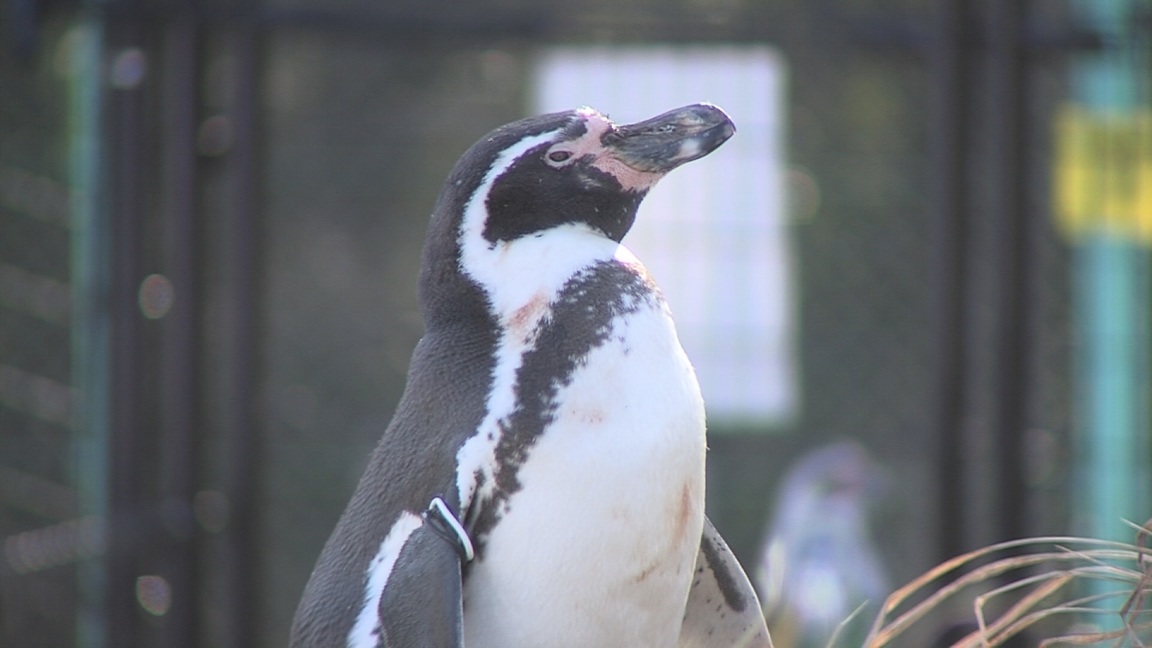 ���������R����