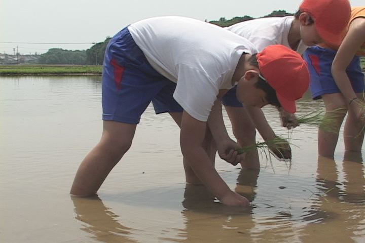 ���������R����