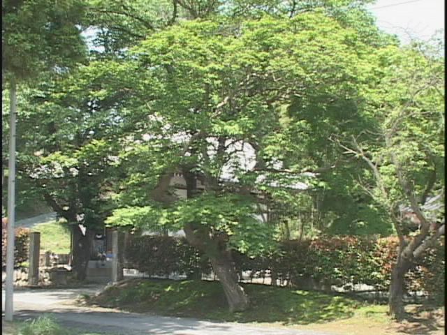 ���������R����