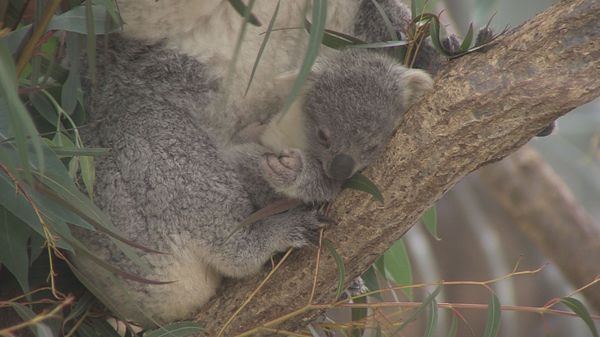 ���������R����