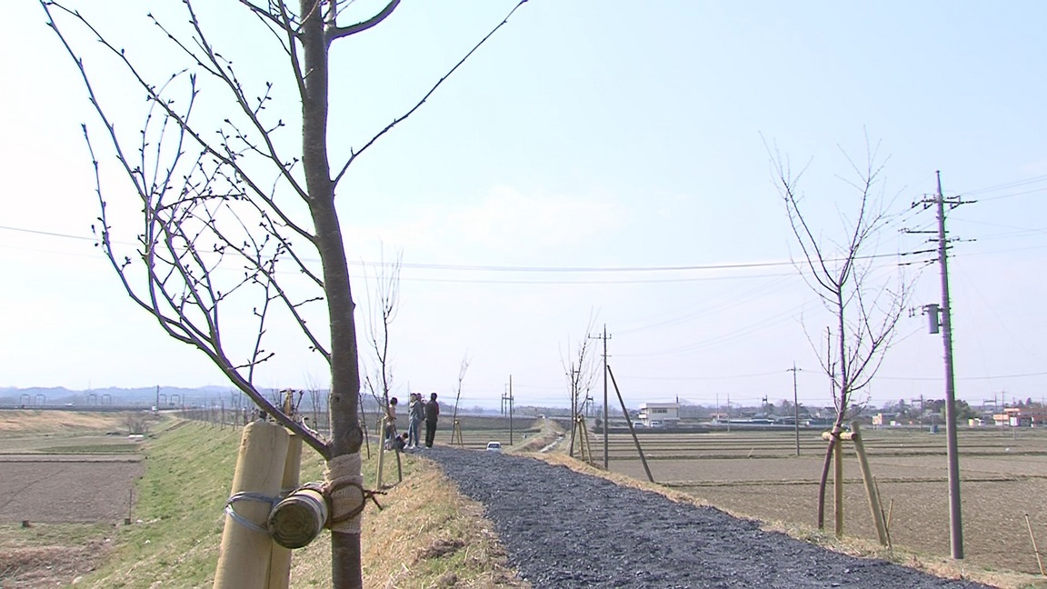 ���������R����