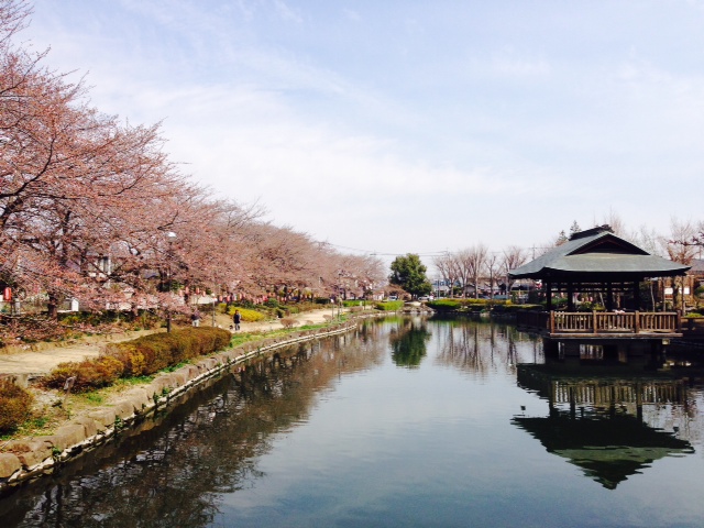 ���������R����