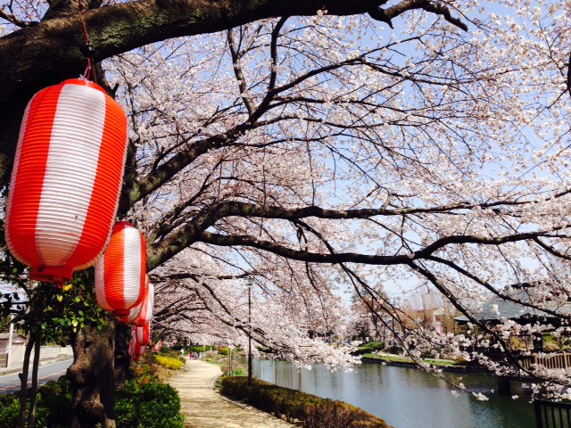 ���������R����