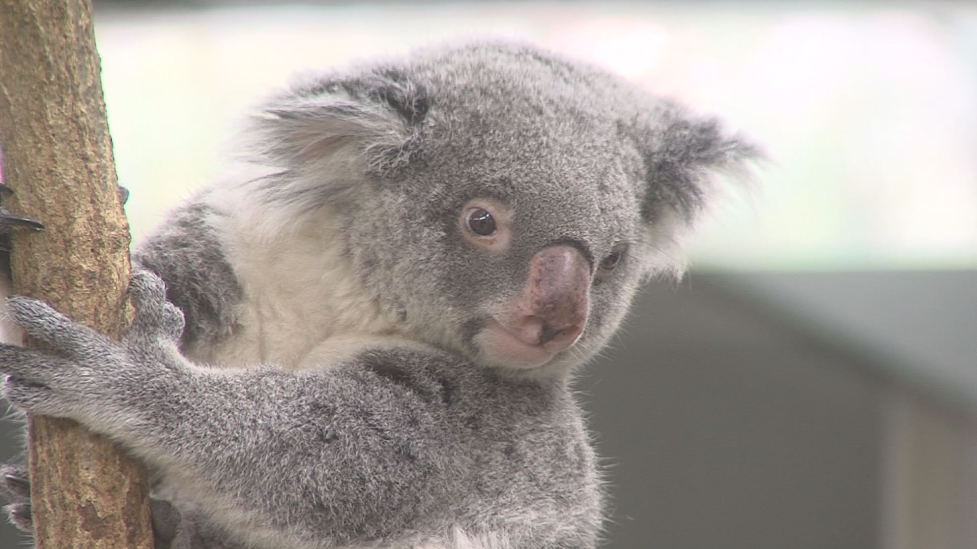 ���������R����