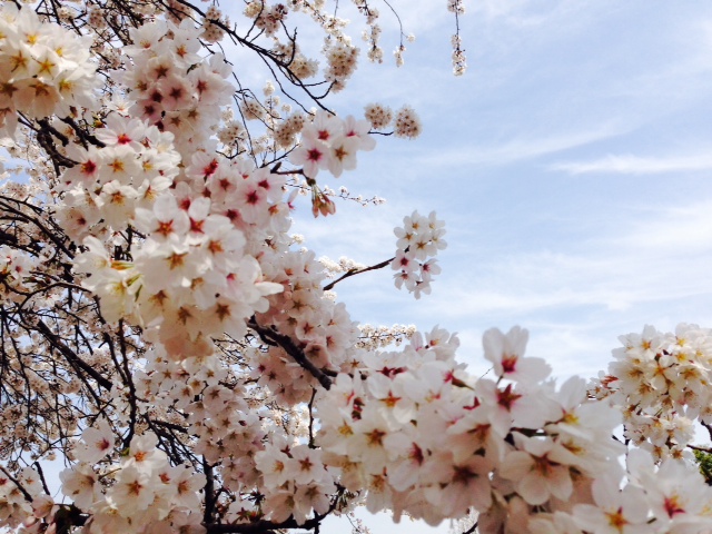 ���������R����