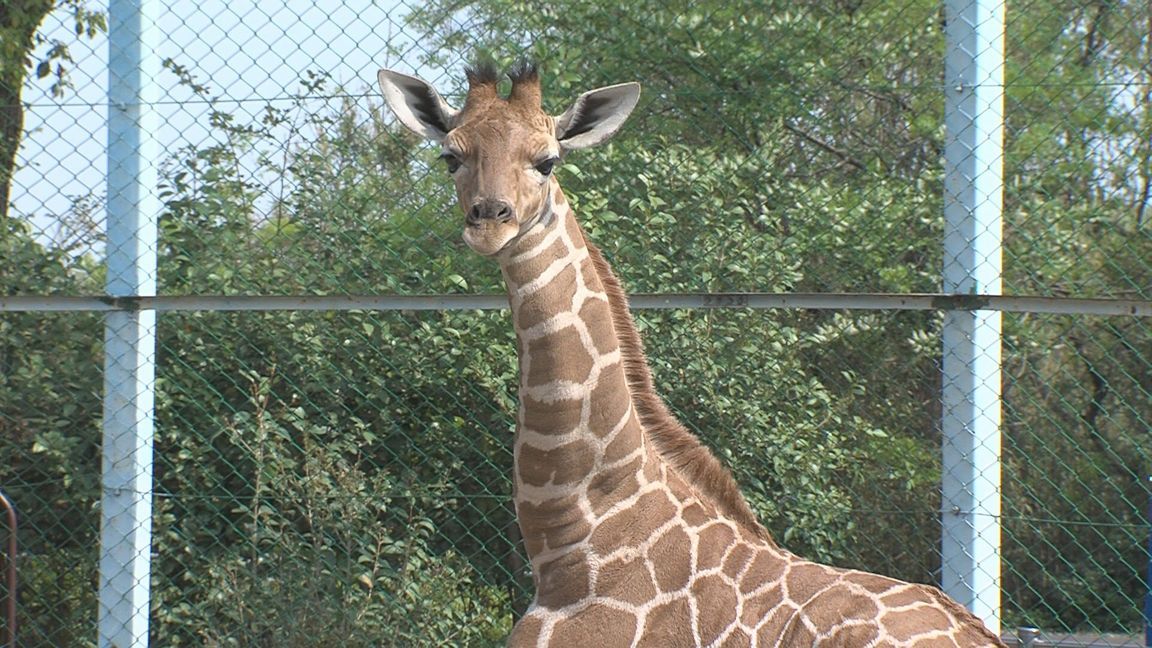 ���������R����