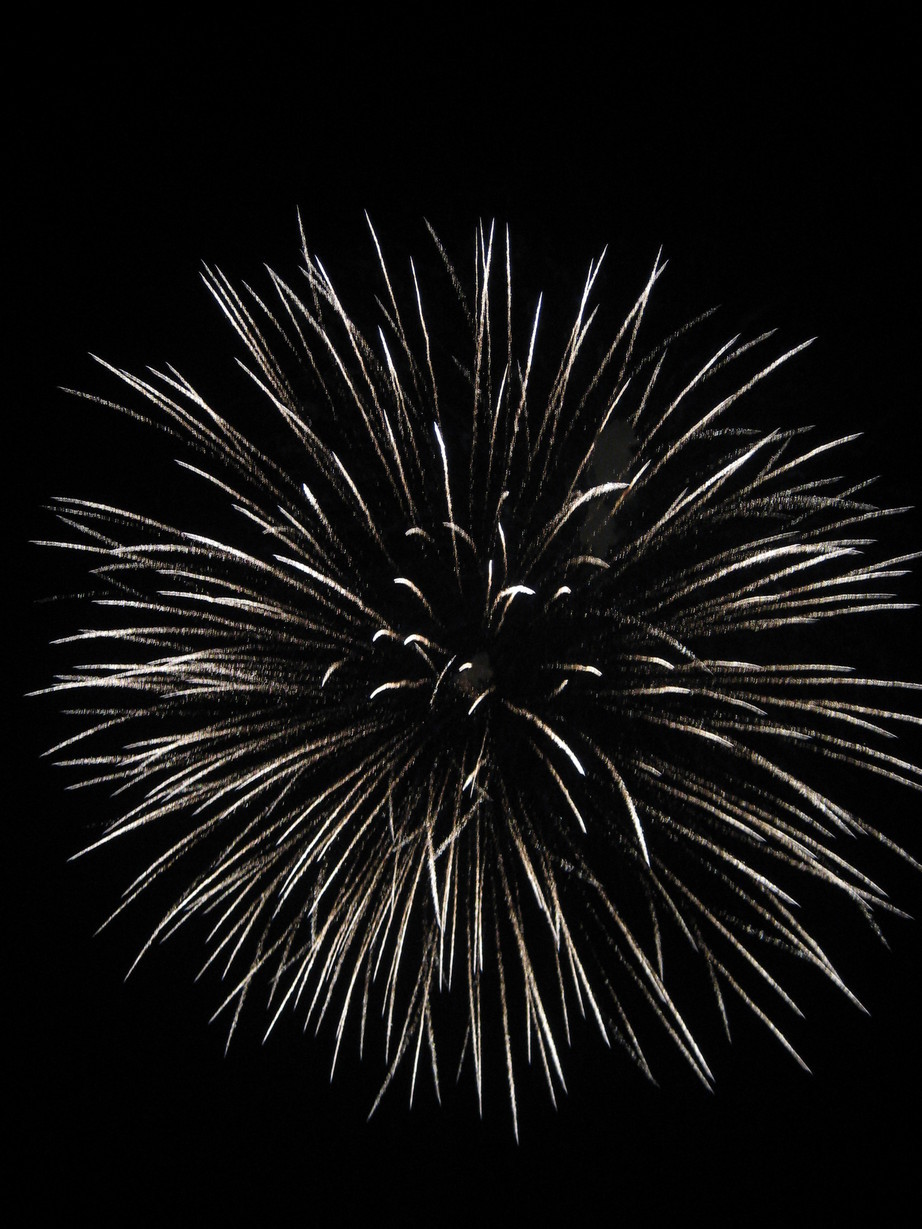 ���������R����