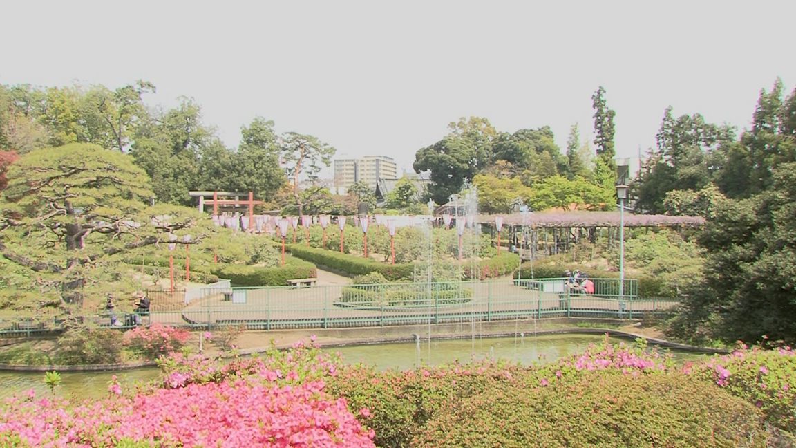 ���������R����