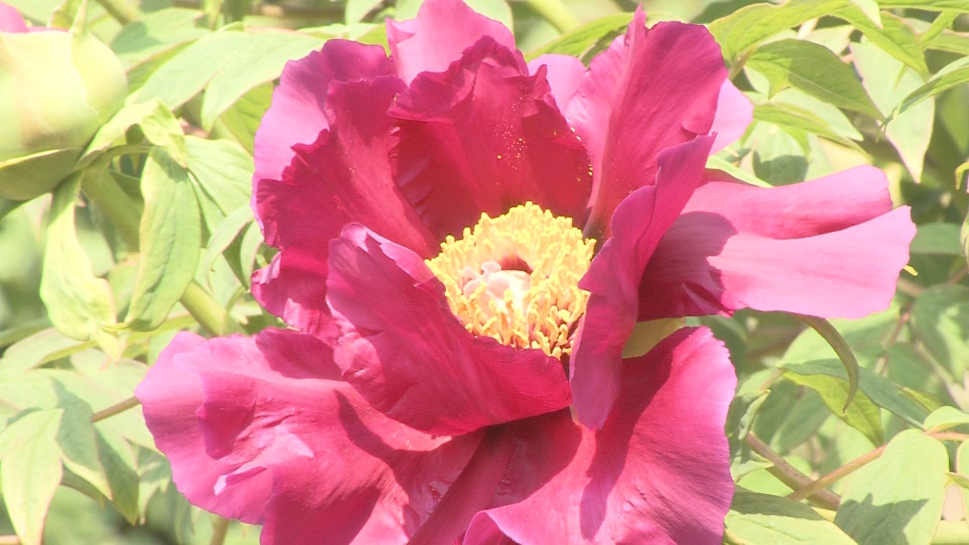 ���������R����