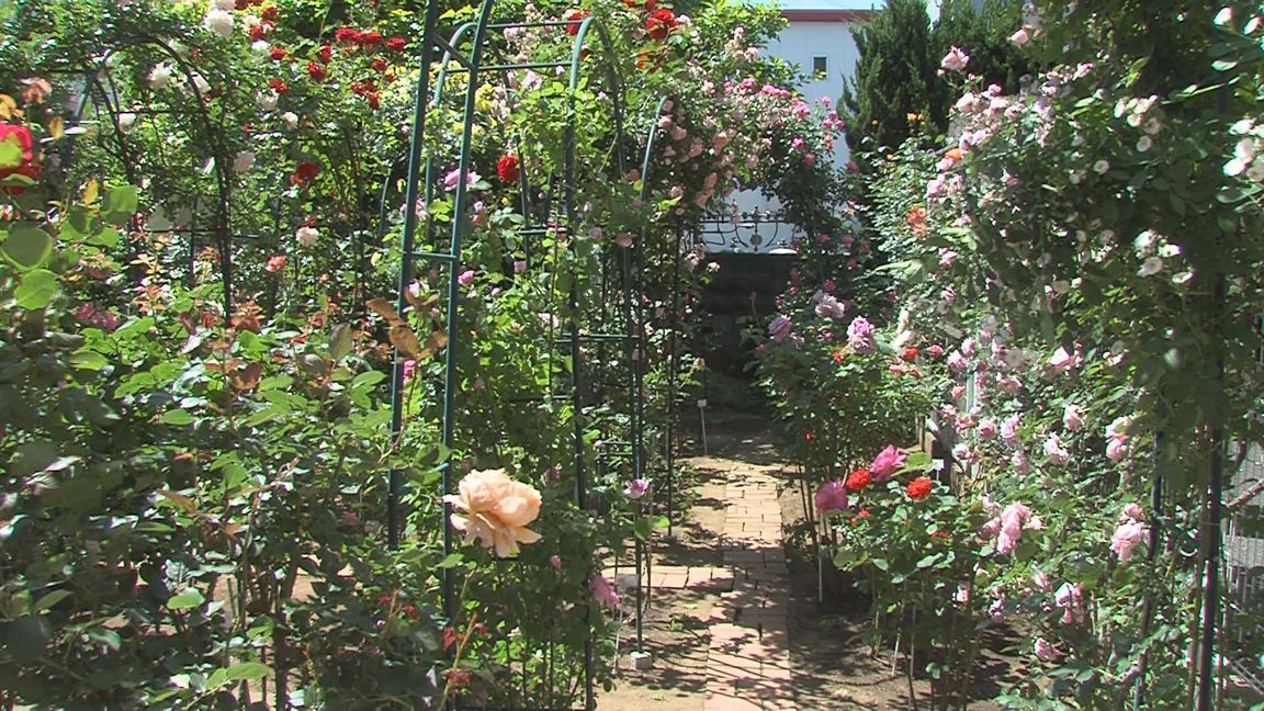 ���������R����