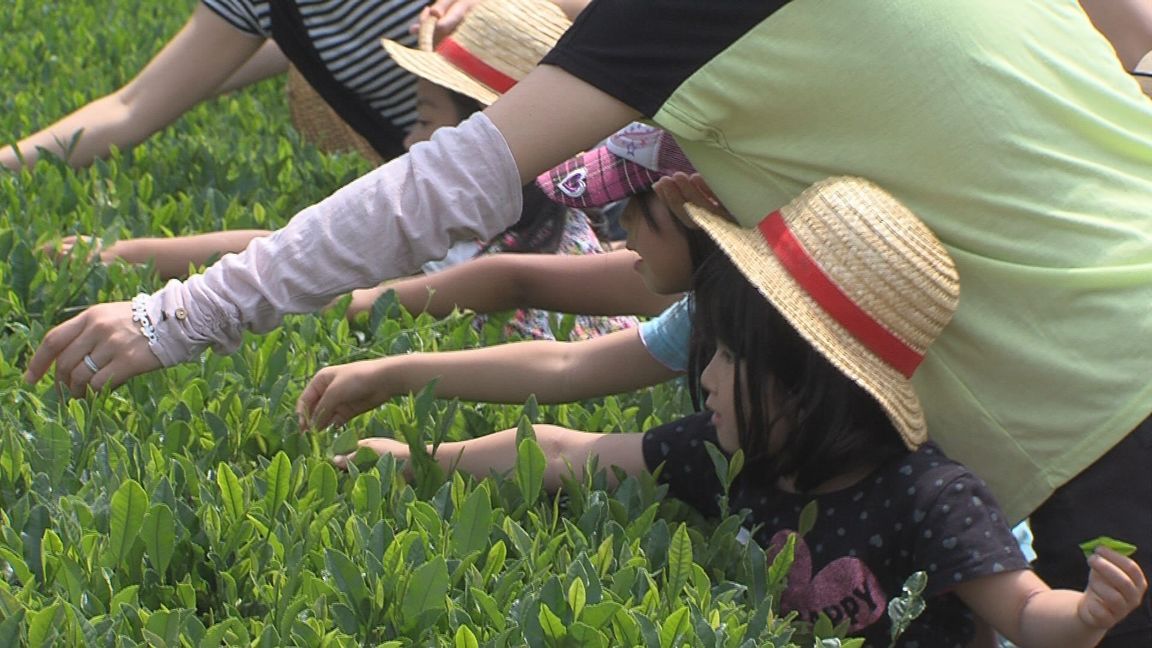 ���������R����