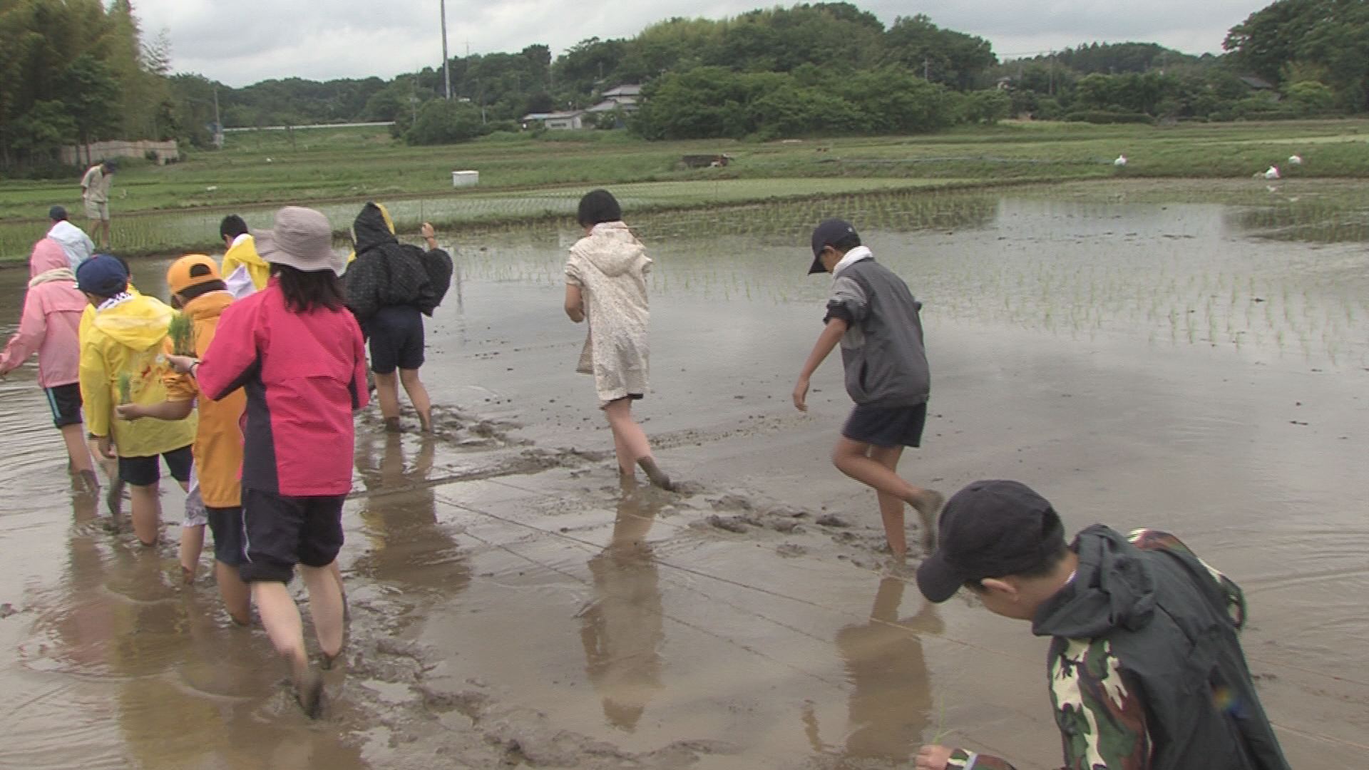 ���������R����