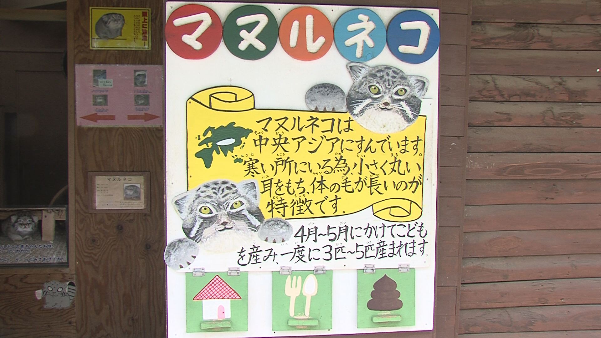 ���������R����