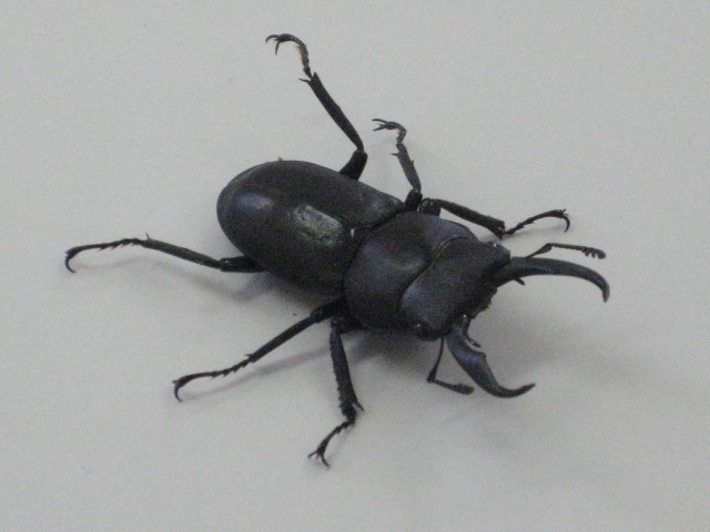 ���������R����