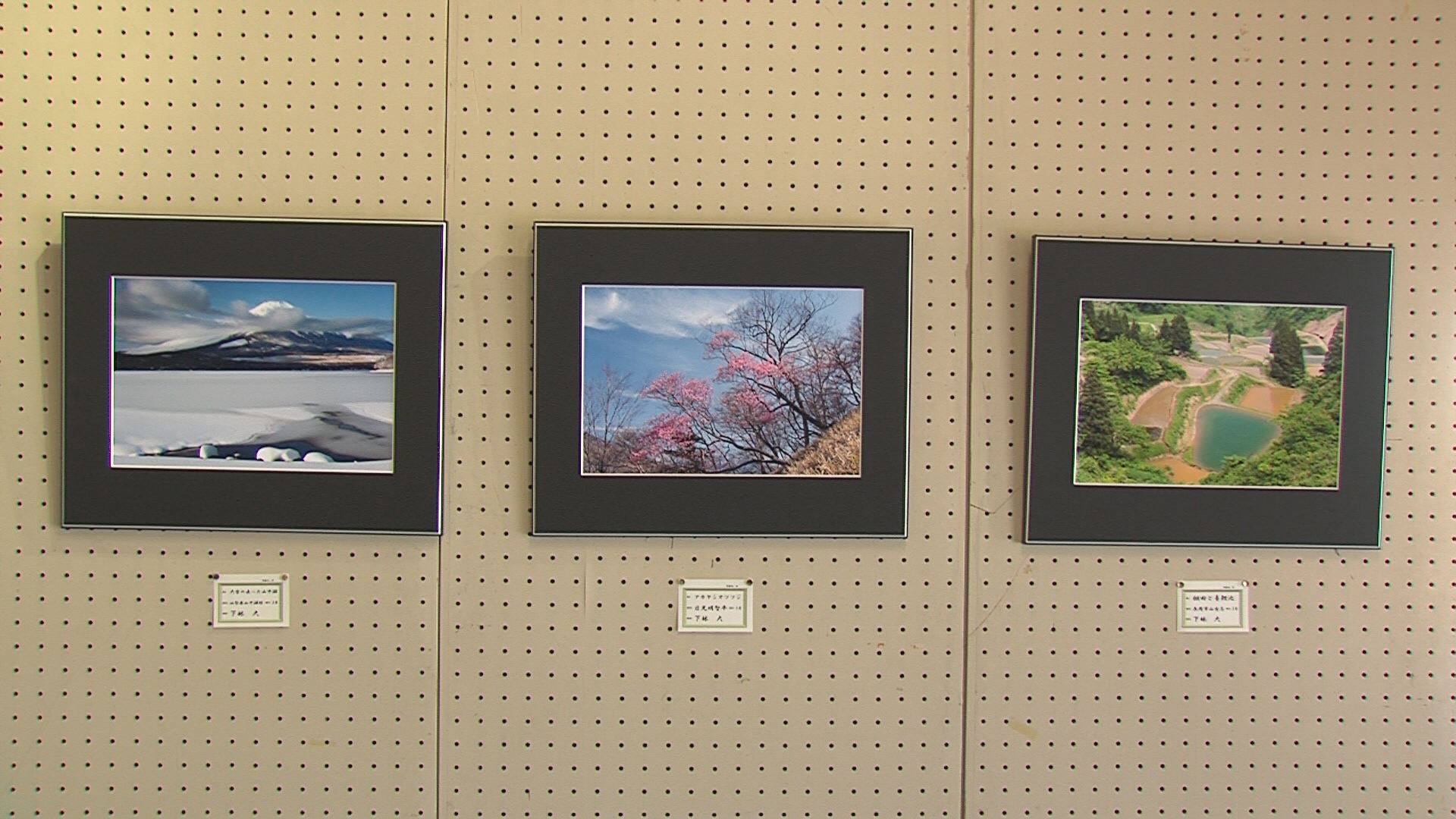 ���������R����