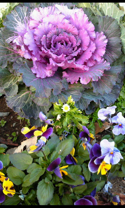 ���������R����