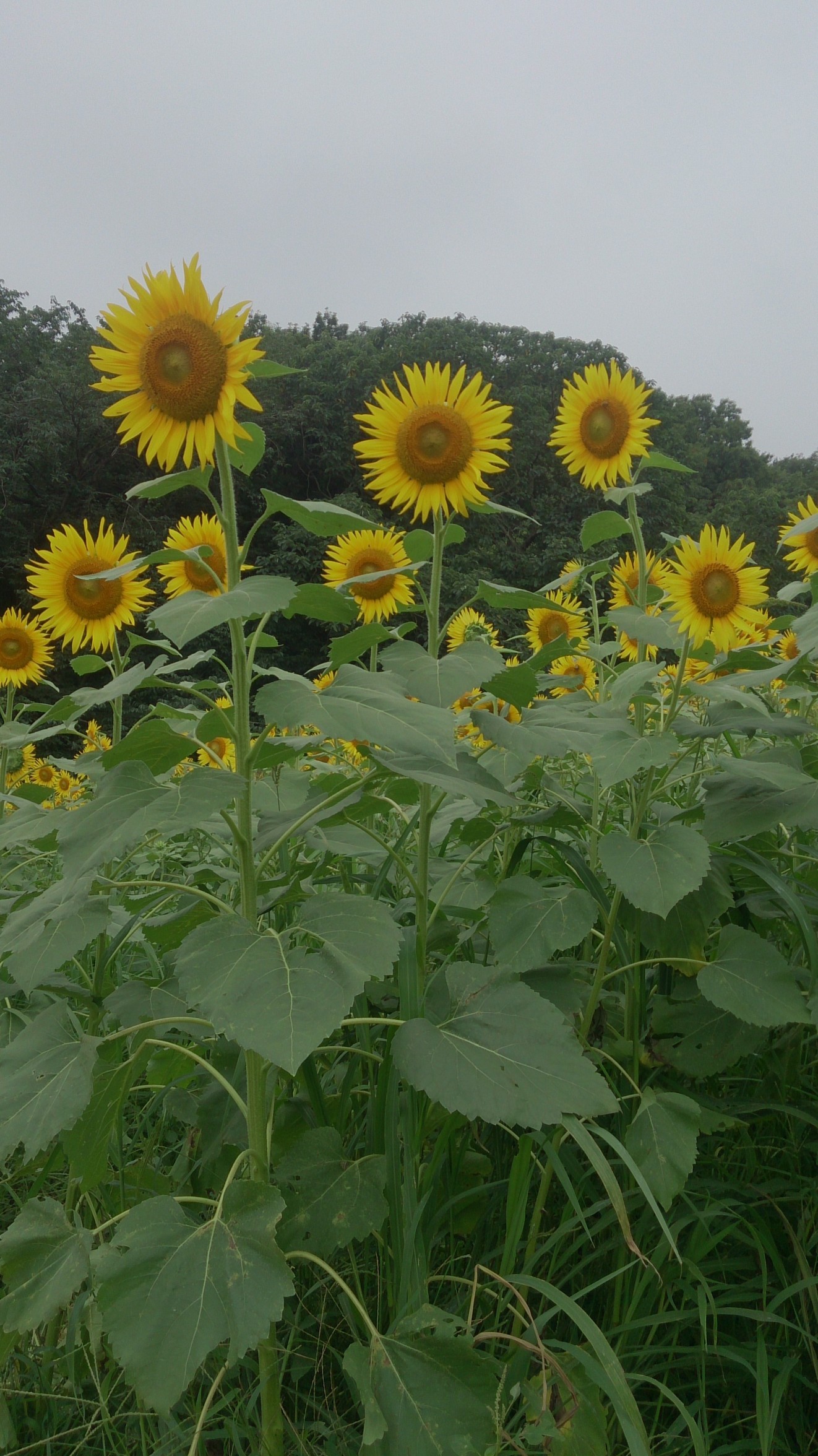 ���������R����