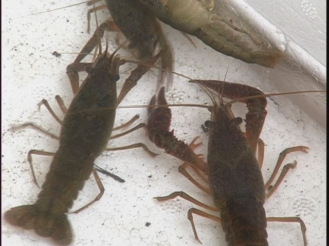 ���������R����