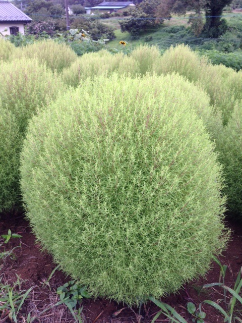 ���������R����