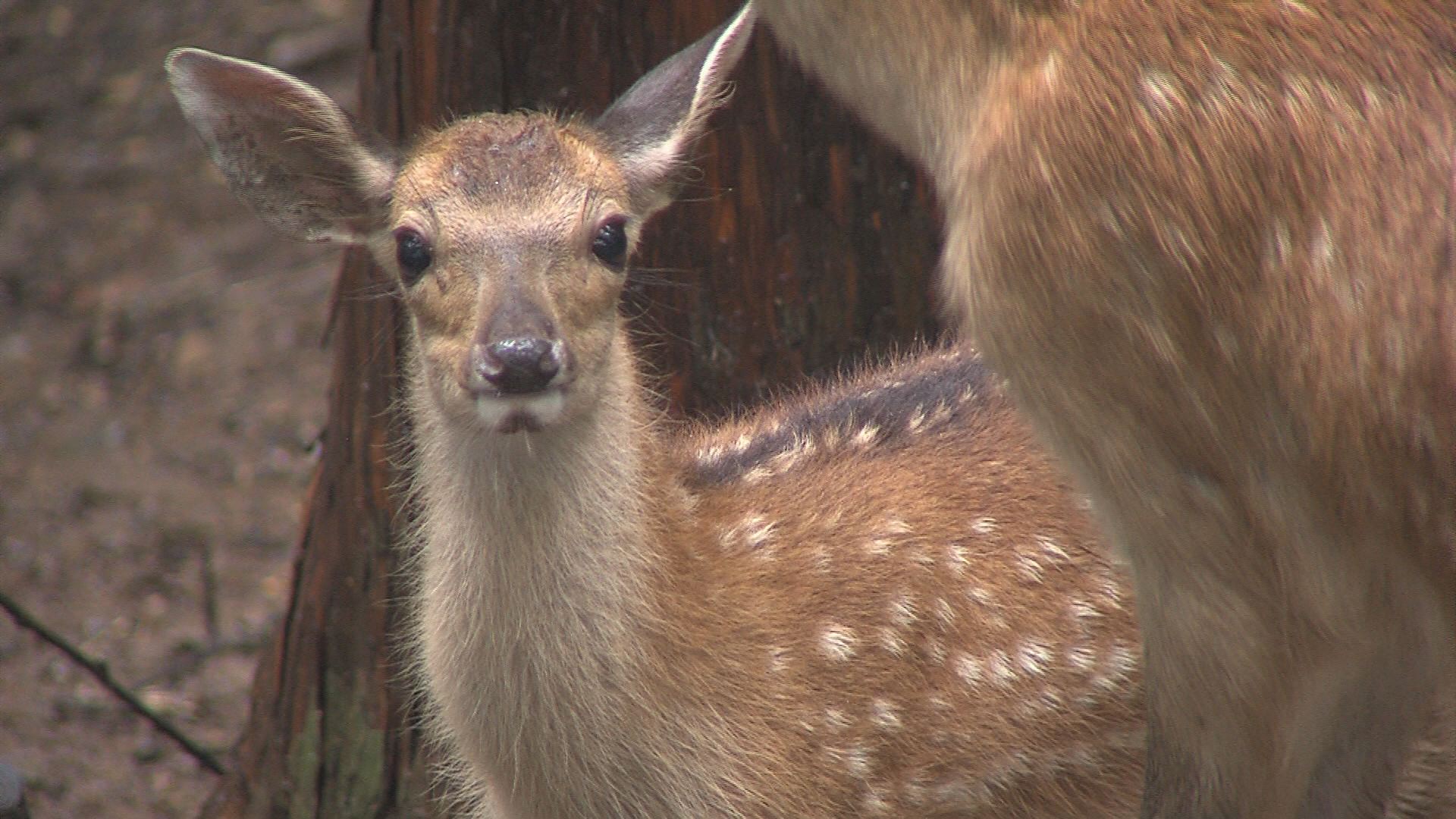 ���������R����