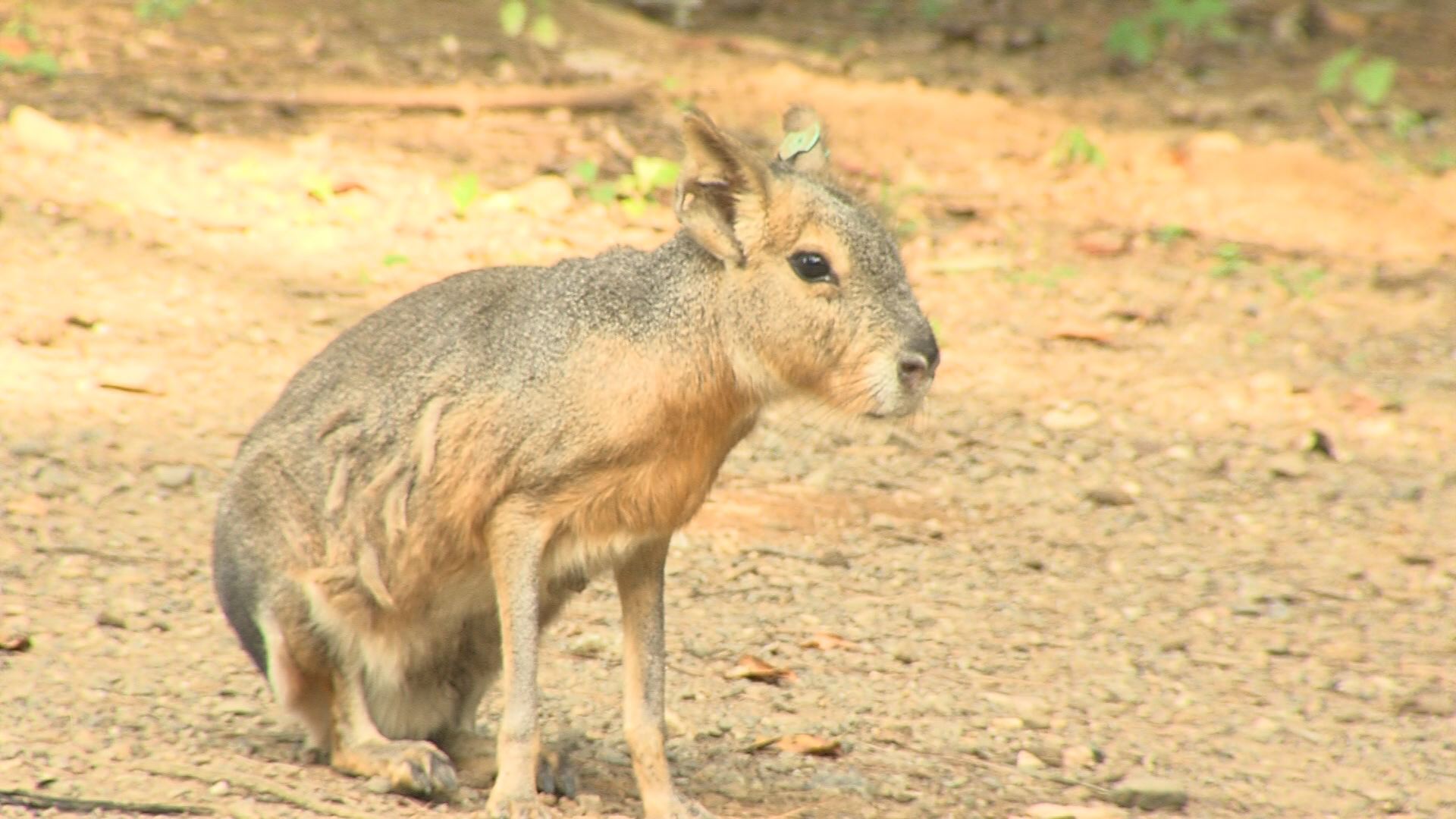 ���������R����