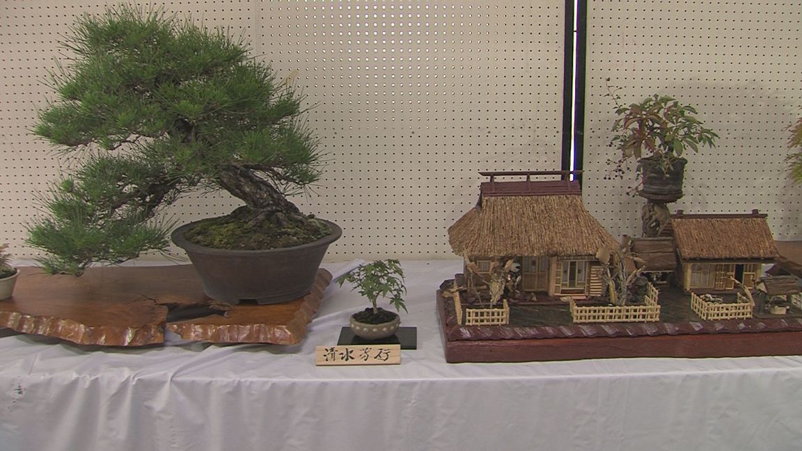 ���������R����