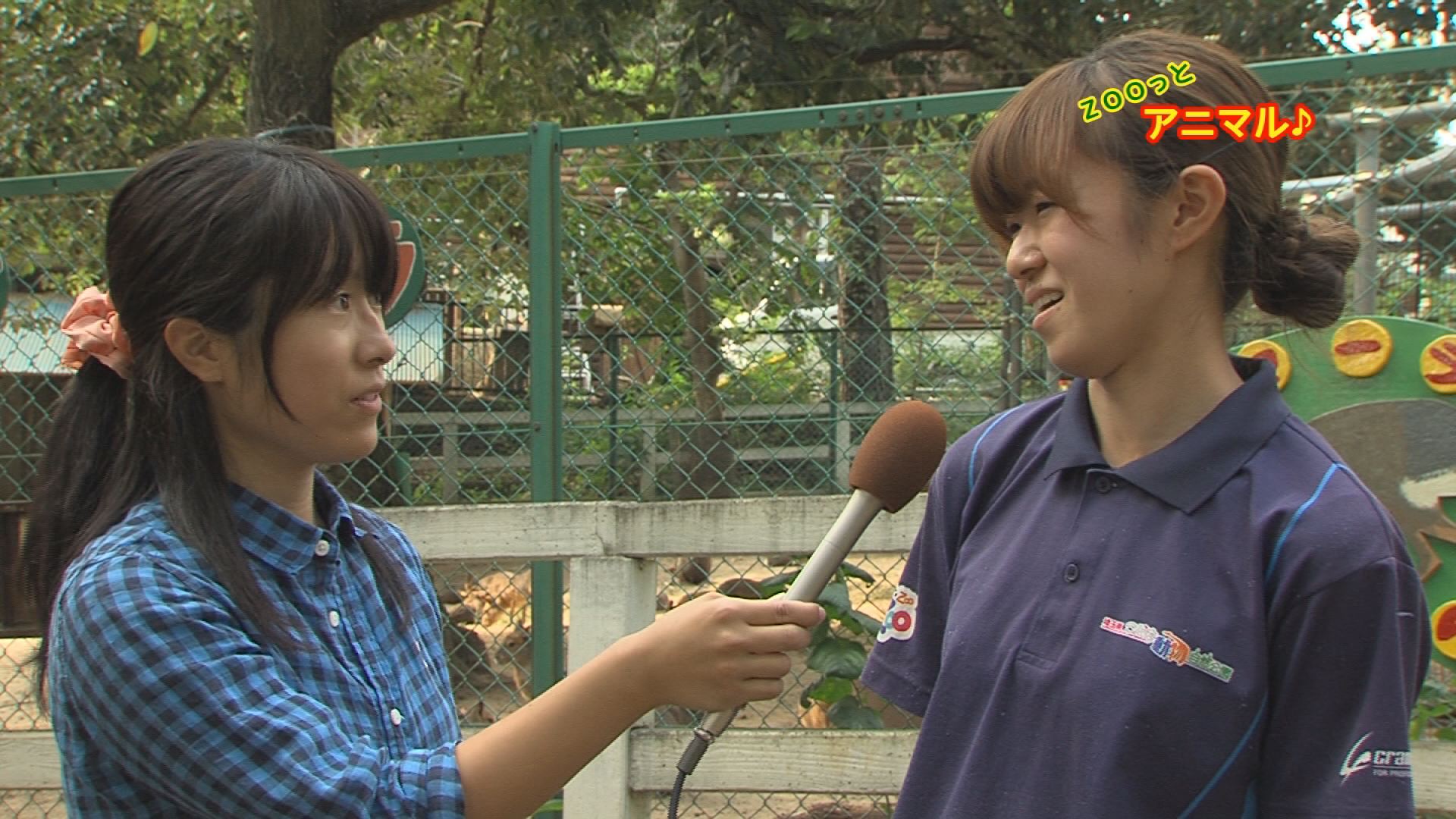 ���������R����