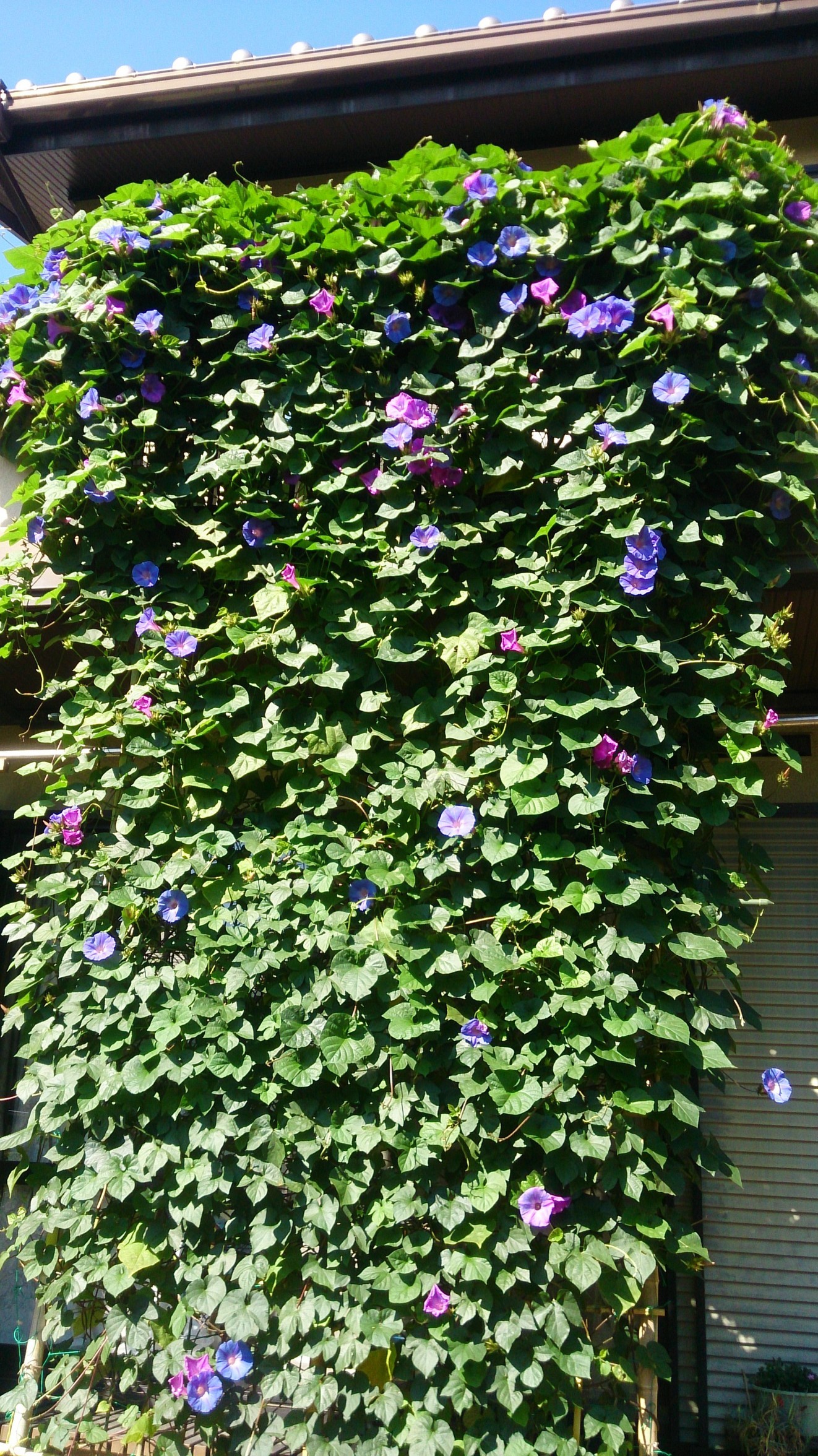 ���������R����