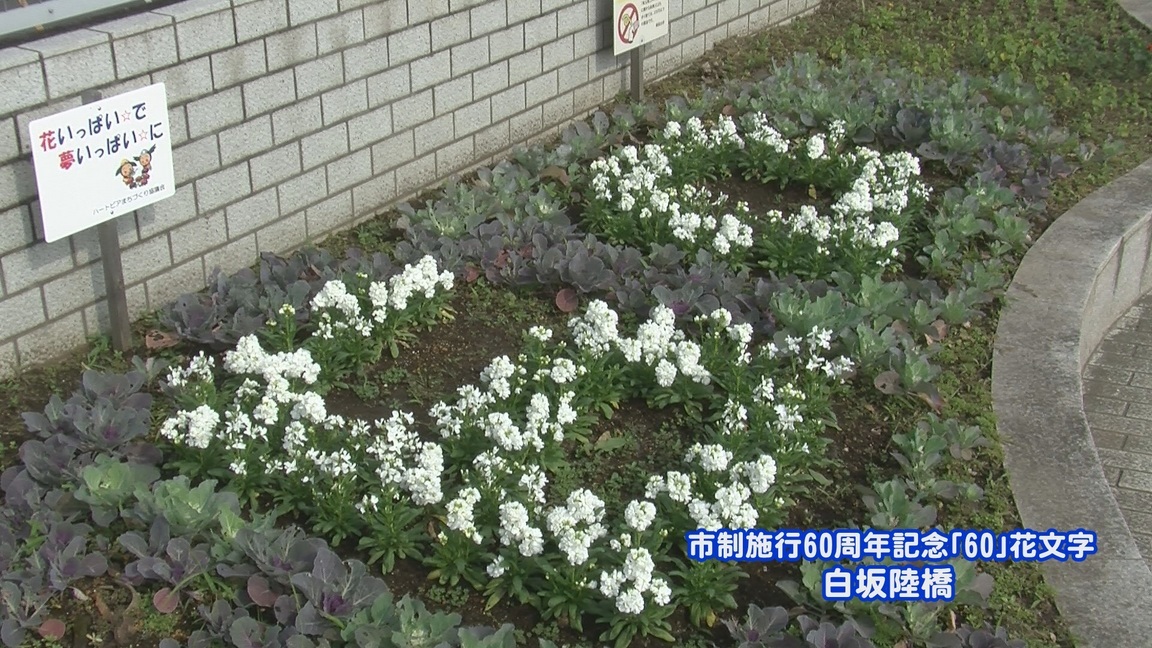 ���������R����