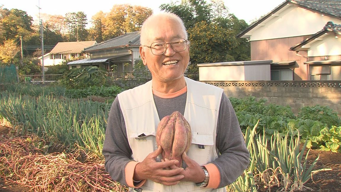 ���������R����