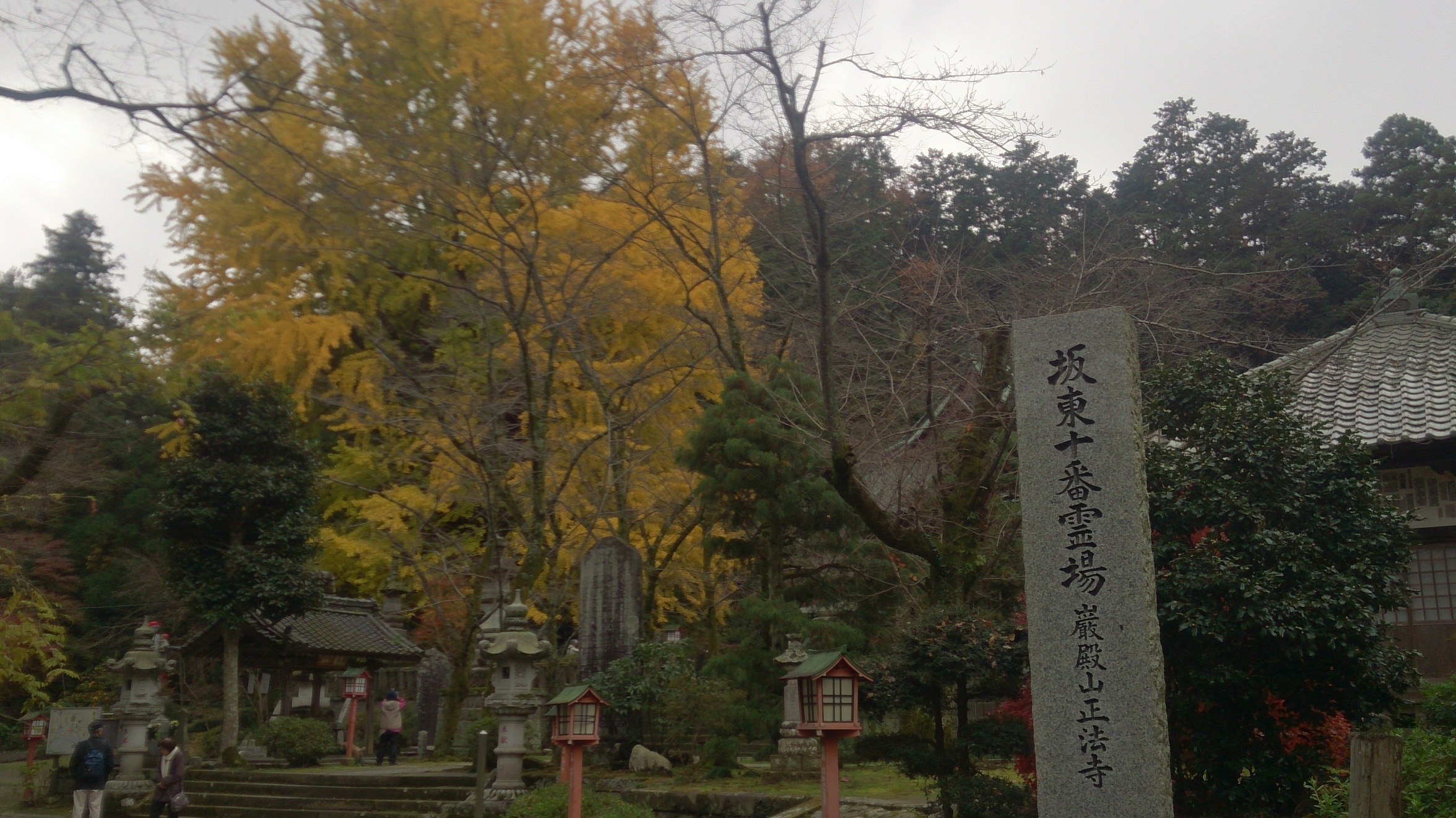 ���������R����