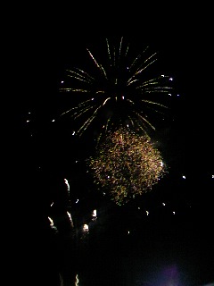 ���������R����