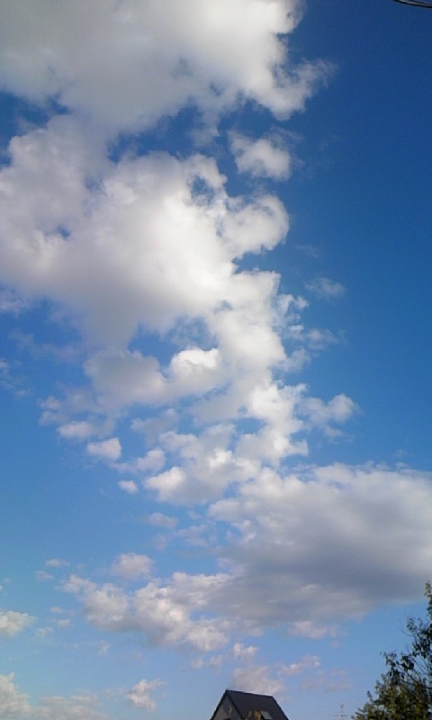 ���������R����