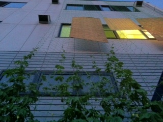 ���������R����